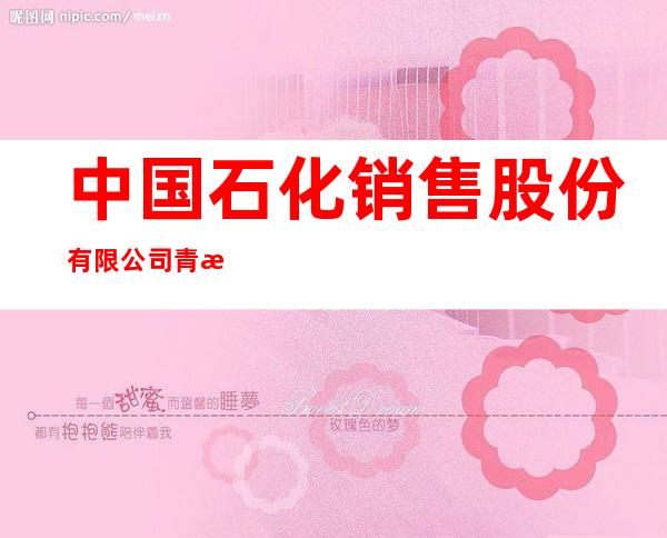 中国石化销售股份有限公司青海石油分公司乌兰县柯柯加油站