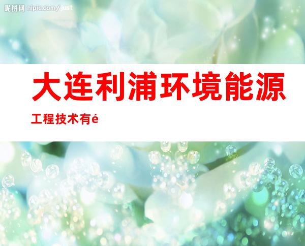 大连利浦环境能源工程技术有限公司