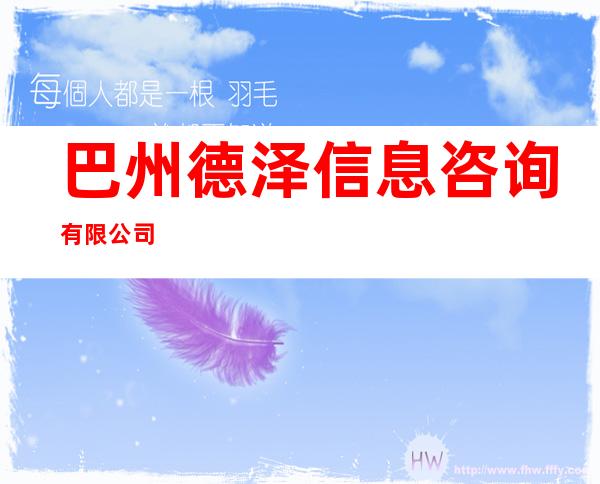巴州德泽信息咨询有限公司